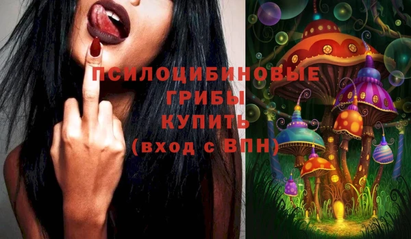 амф Осинники
