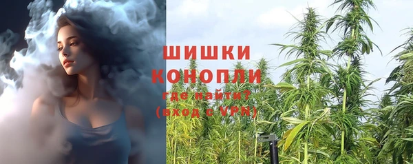 амф Осинники