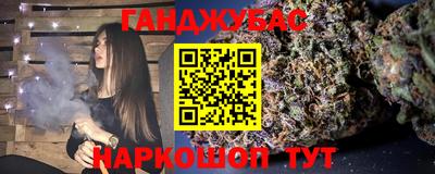 шишки Аргун