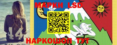 шишки Аргун