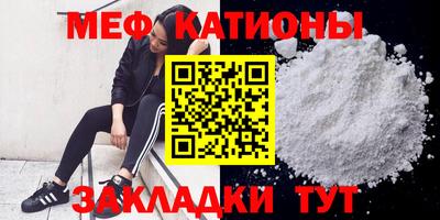 шишки Аргун