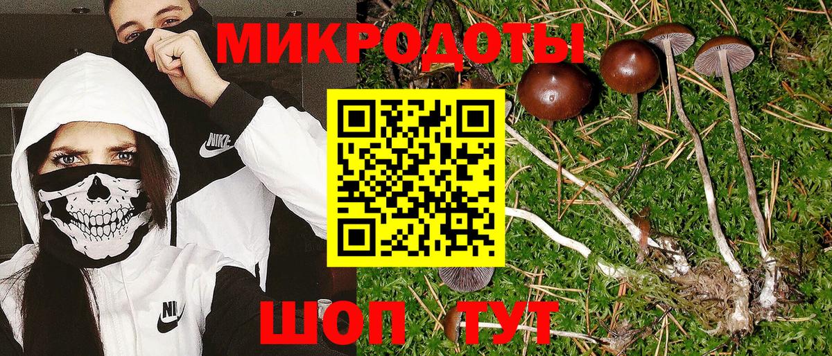 Апрелевка  Псилоцибиновые грибы Psilocybe  Вход с VPN  Галлюциногенные грибы Psilocybine cubensis 