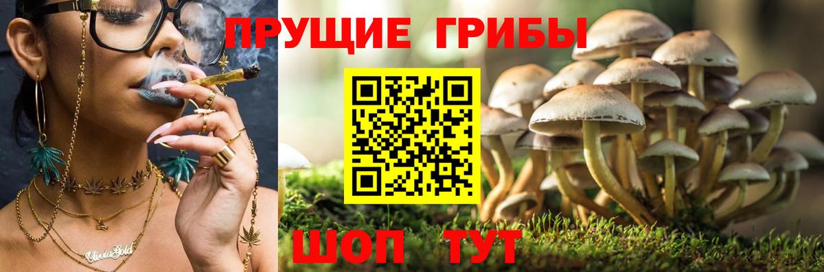 Альфа-ПВП  Вход с VPN  Лсд 25  Мефедрон  Плюхи  Кокаин  Апрелевка  Бошки Шишки 