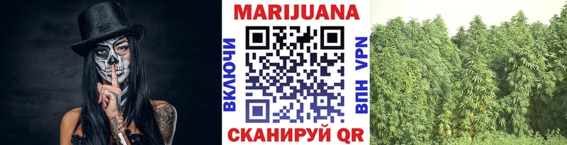 где купить   Апрелевка  МАРИХУАНА семена 